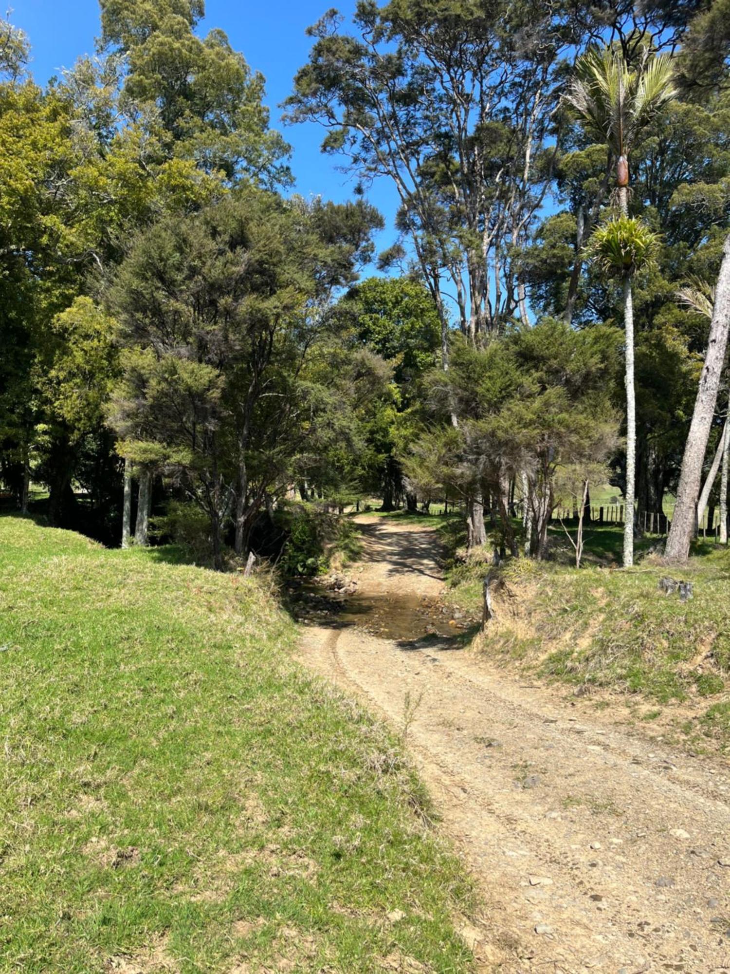 Coromandel White Star Station Farm Holiday Park מראה חיצוני תמונה