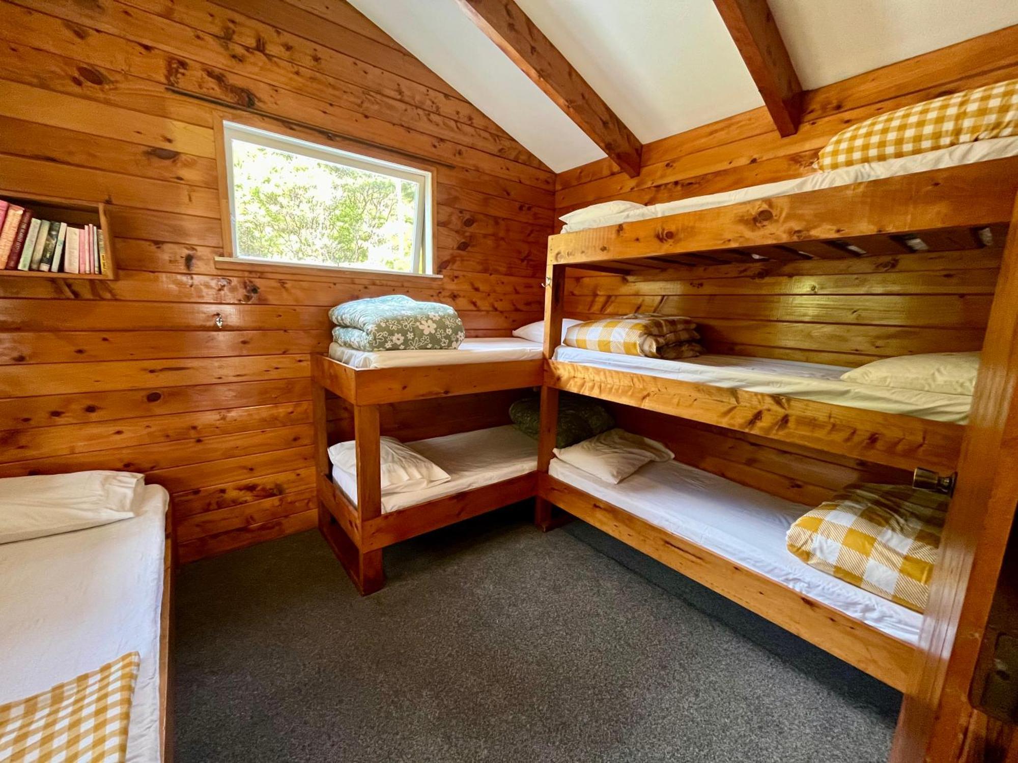 Coromandel White Star Station Farm Holiday Park מראה חיצוני תמונה