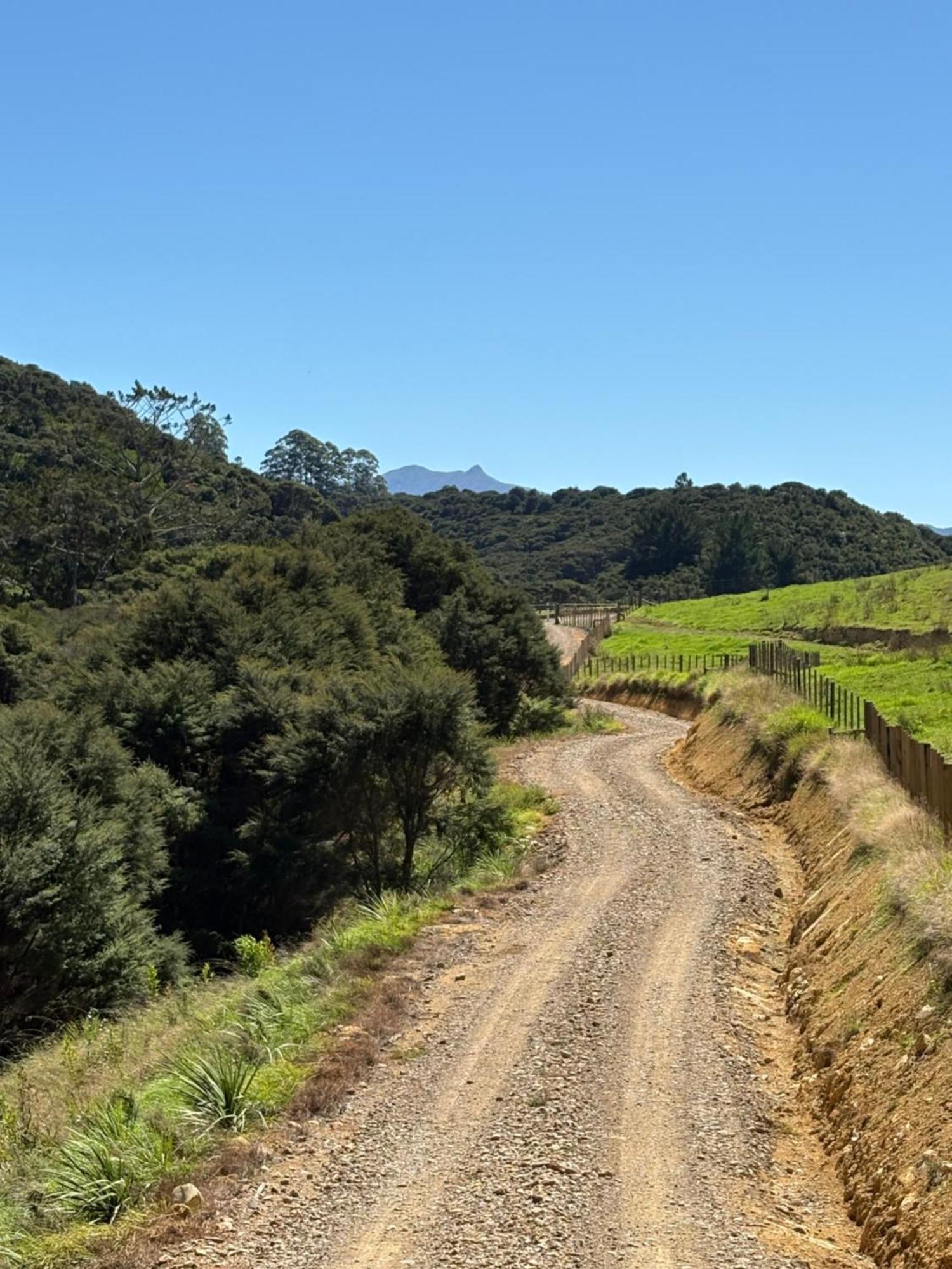 Coromandel White Star Station Farm Holiday Park מראה חיצוני תמונה